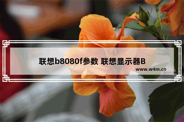 联想b8080f参数 联想显示器B