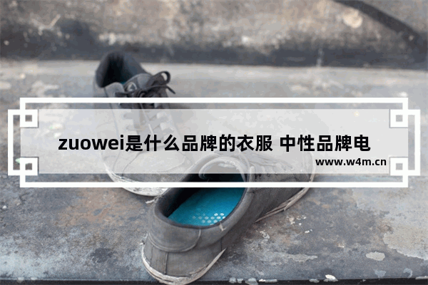 zuowei是什么品牌的衣服 中性品牌电脑推荐