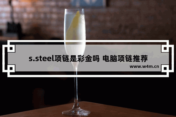 s.steel项链是彩金吗 电脑项链推荐品牌