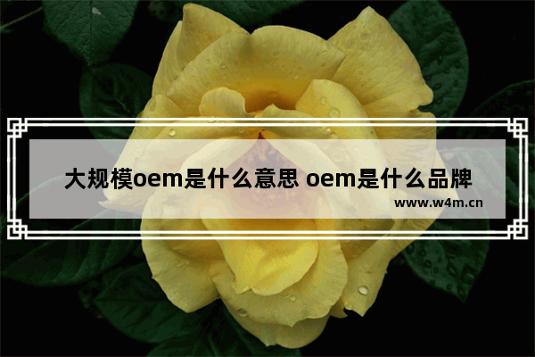 大规模oem是什么意思 oem是什么品牌的显卡