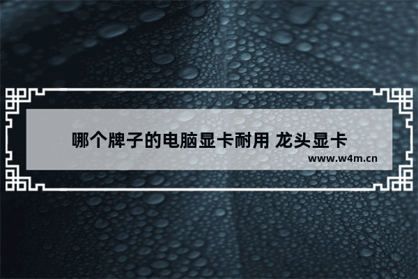 哪个牌子的电脑显卡耐用 龙头显卡