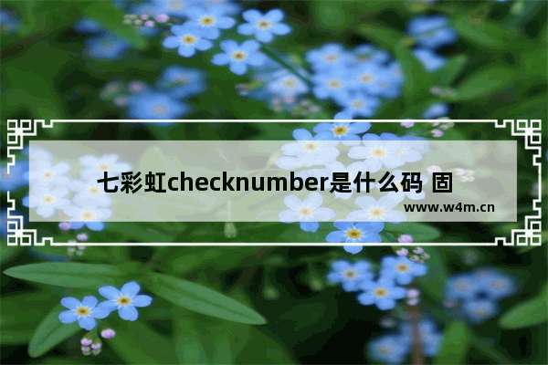 七彩虹checknumber是什么码 固态硬盘写码