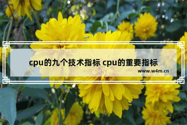 cpu的九个技术指标 cpu的重要指标