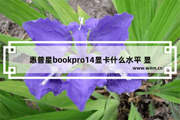 惠普星bookpro14显卡什么水平 显卡之星