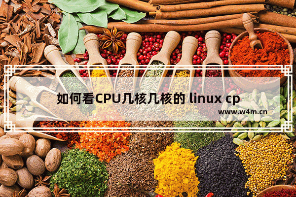 如何看CPU几核几核的 linux cpu核数