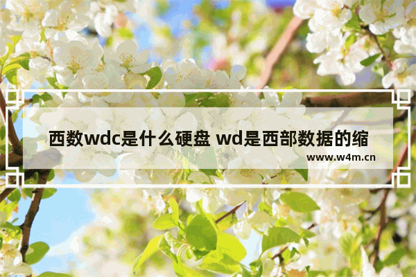 西数wdc是什么硬盘 wd是西部数据的缩写吗