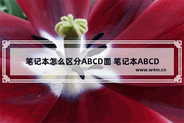 笔记本怎么区分ABCD面 笔记本ABCD面什么意思 笔记本电脑c壳