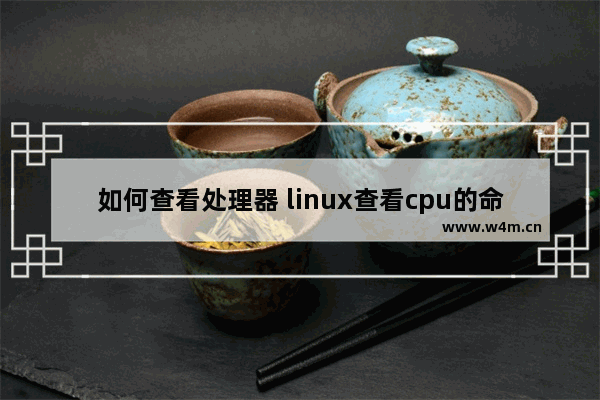 如何查看处理器 linux查看cpu的命令