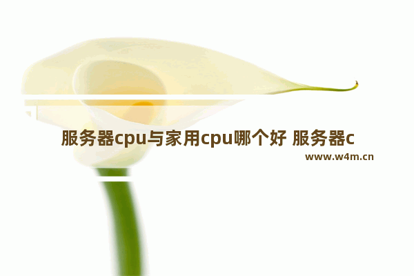 服务器cpu与家用cpu哪个好 服务器cpu 家用