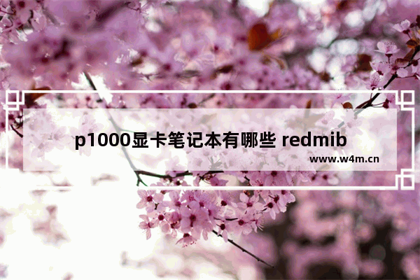 p1000显卡笔记本有哪些 redmibook pro 15锐炬显卡怎么样