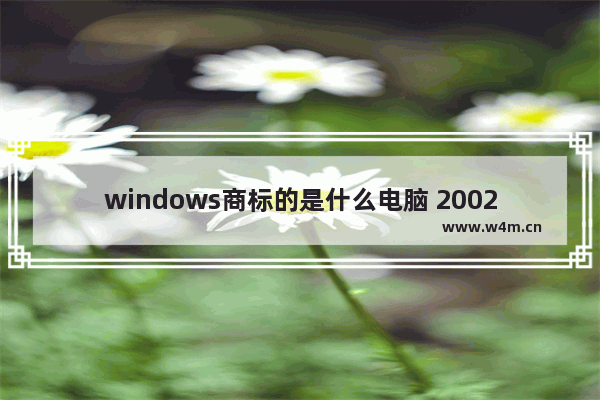 windows商标的是什么电脑 2002的品牌电脑