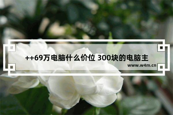 ++69万电脑什么价位 300块的电脑主机能买吗