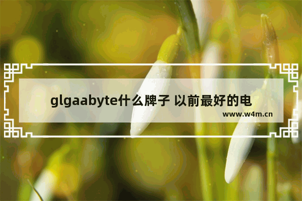 glgaabyte什么牌子 以前最好的电脑主板品牌