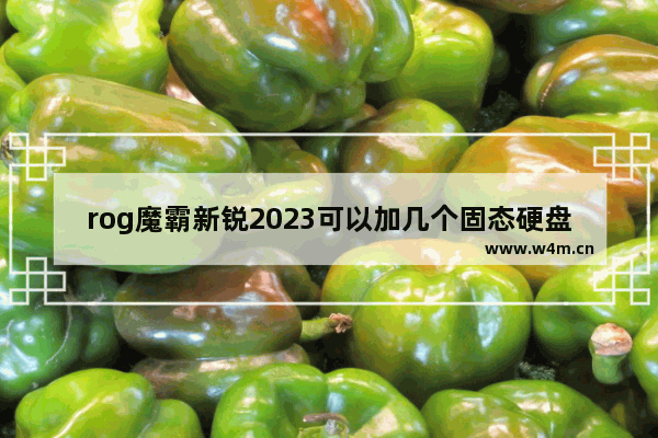 rog魔霸新锐2023可以加几个固态硬盘 rog顶尖固态硬盘