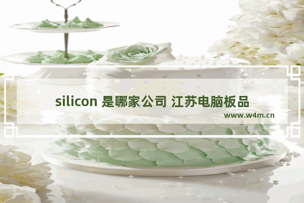 silicon 是哪家公司 江苏电脑板品牌