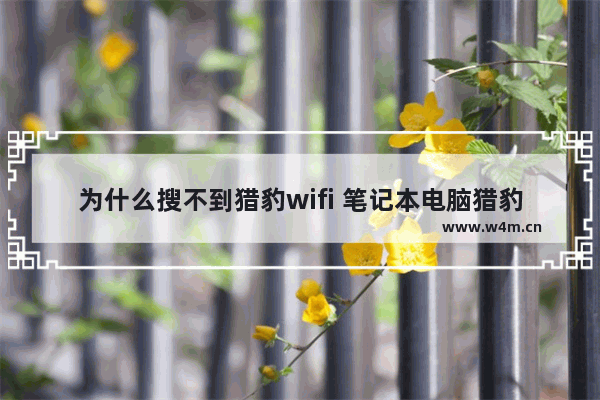 为什么搜不到猎豹wifi 笔记本电脑猎豹wifi