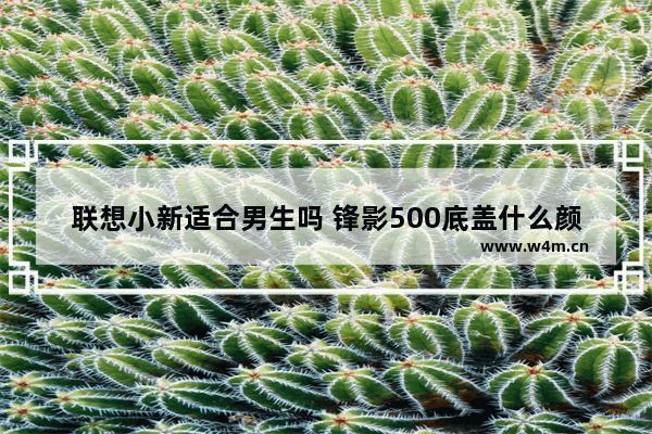 联想小新适合男生吗 锋影500底盖什么颜色