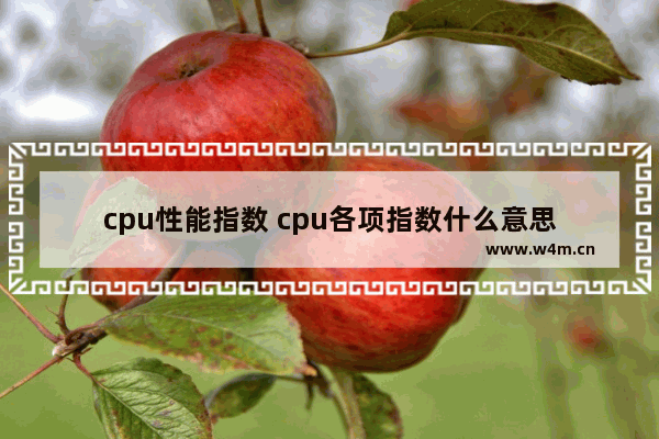 cpu性能指数 cpu各项指数什么意思