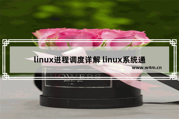 linux进程调度详解 linux系统通过命令行查看cpu信息