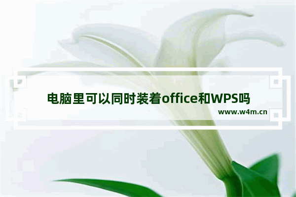 电脑里可以同时装着office和WPS吗 怎么查看电脑上安装的所有软件