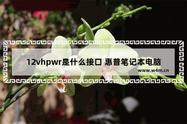 12vhpwr是什么接口 惠普笔记本电脑接口