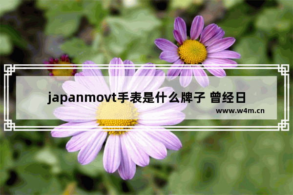 japanmovt手表是什么牌子 曾经日本电脑品牌