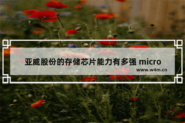 亚威股份的存储芯片能力有多强 micro n 固态硬盘