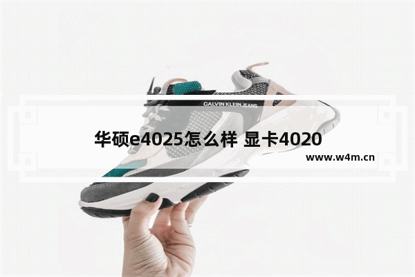 华硕e4025怎么样 显卡4020