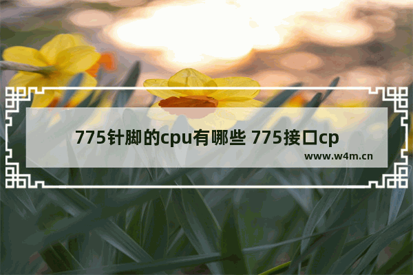 775针脚的cpu有哪些 775接口cpu