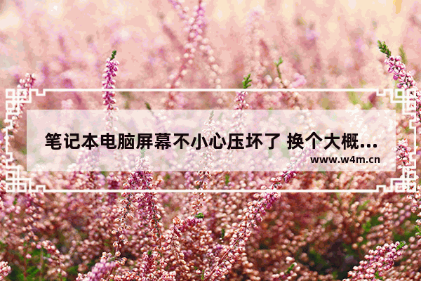 笔记本电脑屏幕不小心压坏了 换个大概多少钱 电脑屏幕能用湿布擦吗