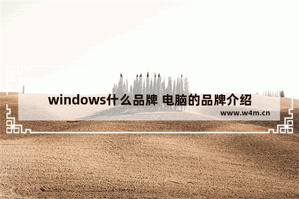 windows什么品牌 电脑的品牌介绍