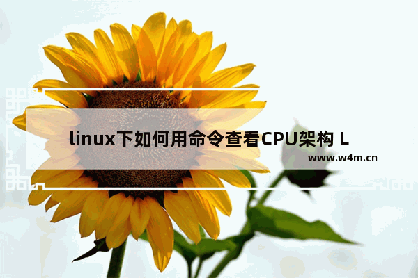 linux下如何用命令查看CPU架构 Linux支持的CPU有哪些