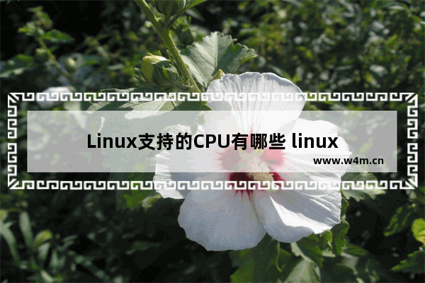 Linux支持的CPU有哪些 linux cpu性能