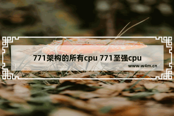 771架构的所有cpu 771至强cpu