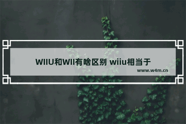 WIIU和WII有啥区别 wiiu相当于什么显卡