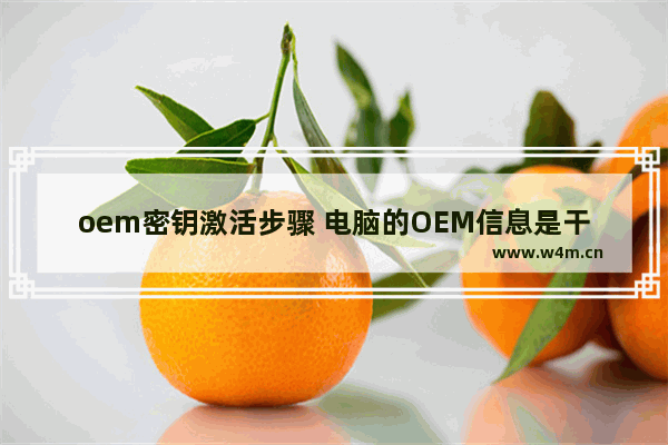 oem密钥激活步骤 电脑的OEM信息是干什么用的 修改了会有什么问题