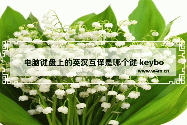 电脑键盘上的英汉互译是哪个键 keyboard可数吗