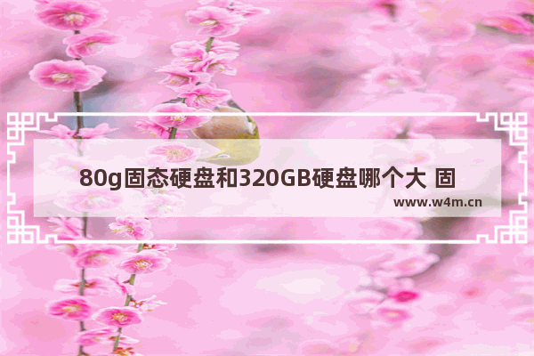 80g固态硬盘和320GB硬盘哪个大 固态硬盘规格320