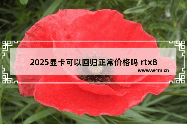 2025显卡可以回归正常价格吗 rtx8000显卡怎么样