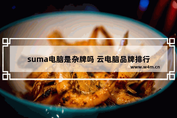 suma电脑是杂牌吗 云电脑品牌排行