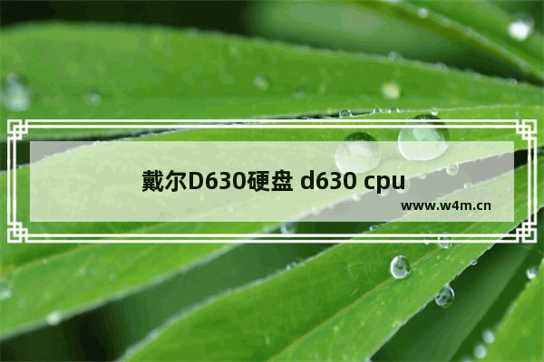 戴尔D630硬盘 d630 cpu