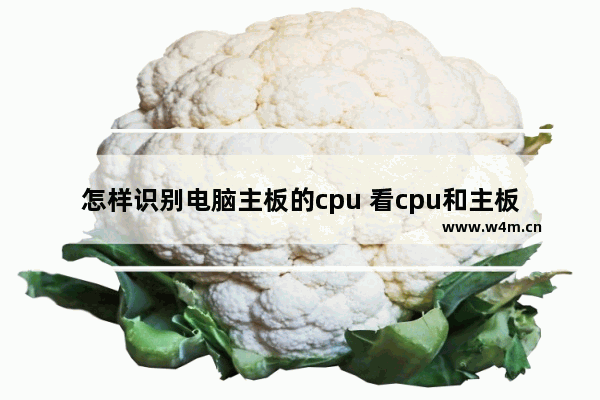 怎样识别电脑主板的cpu 看cpu和主板