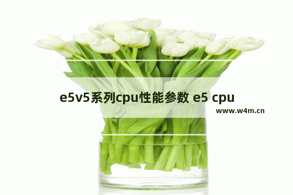 e5v5系列cpu性能参数 e5 cpu参数