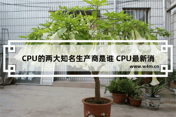 CPU的两大知名生产商是谁 CPU最新消息