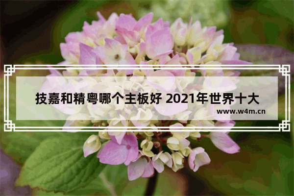 技嘉和精粤哪个主板好 2021年世界十大芯片排名