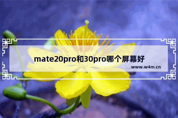 mate20pro和30pro哪个屏幕好 20英寸的显示器