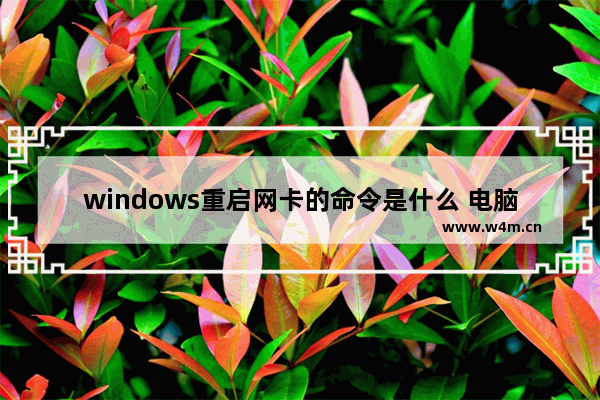 windows重启网卡的命令是什么 电脑主板重启插口插哪里