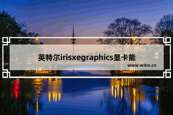 英特尔irisxegraphics显卡能玩荒野大镖客吗 显卡大镖客