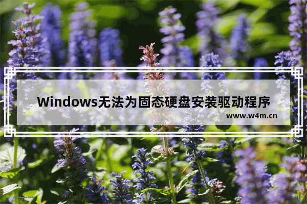 Windows无法为固态硬盘安装驱动程序 固态硬盘不能录入