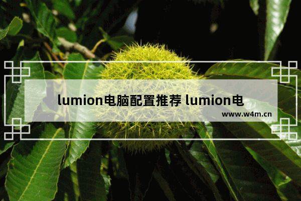 lumion电脑配置推荐 lumion电脑配置要求